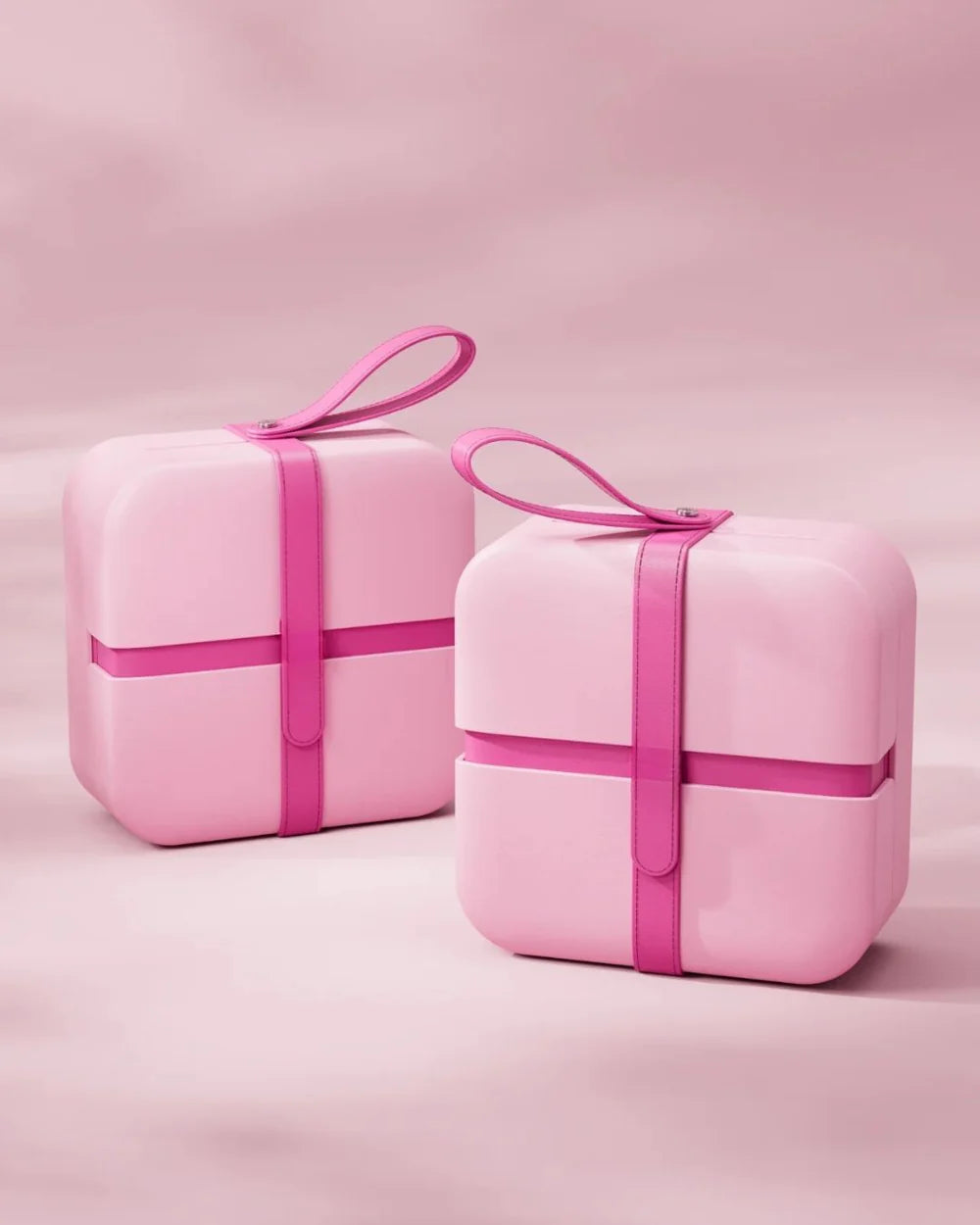 FASCINATE™ LED Beauty Case