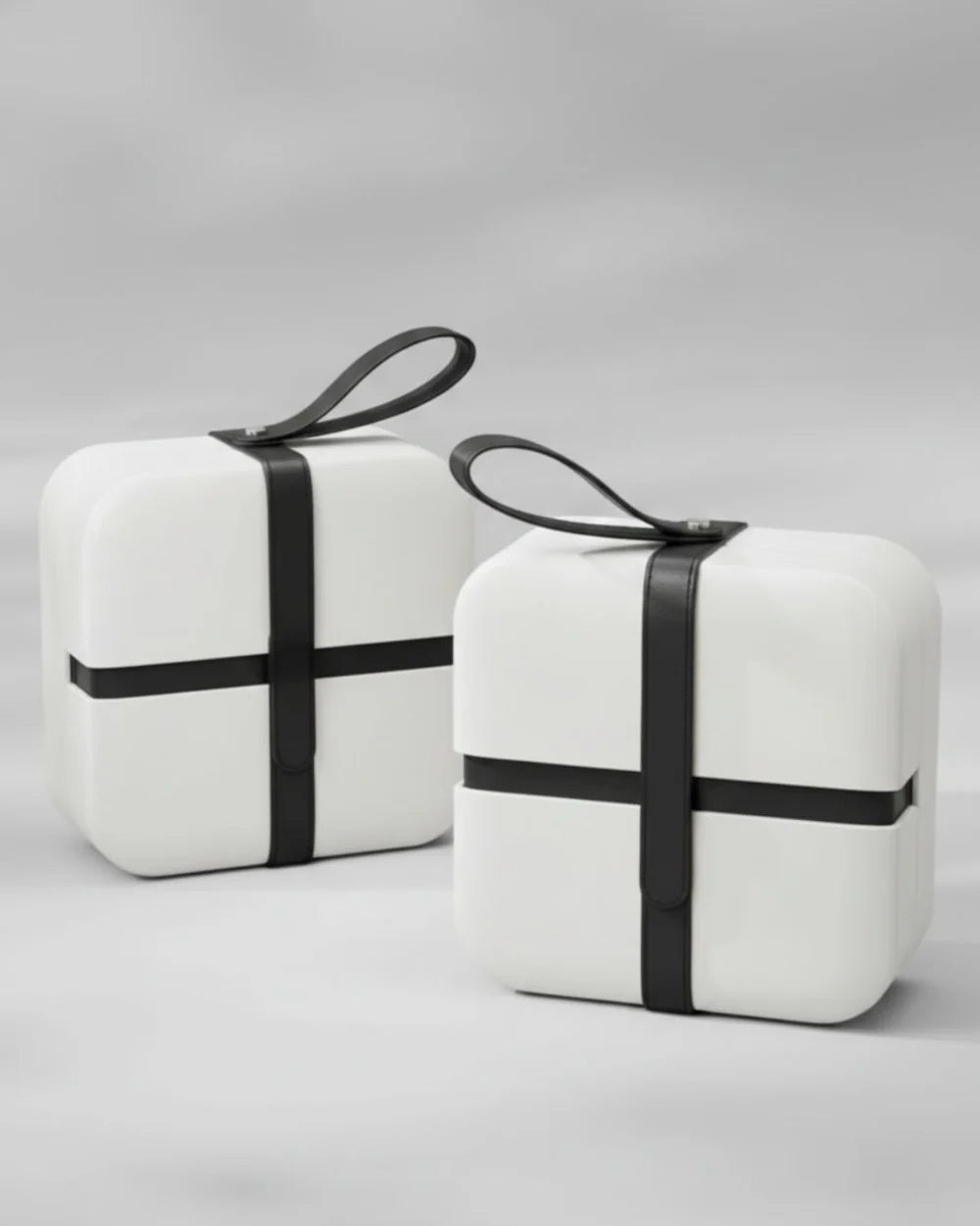 FASCINATE™ LED Beauty Case